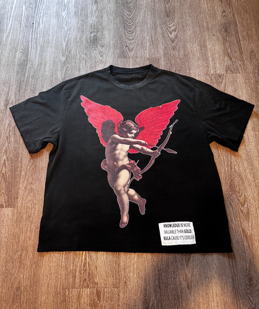 Rula Angel Crop T Shirt